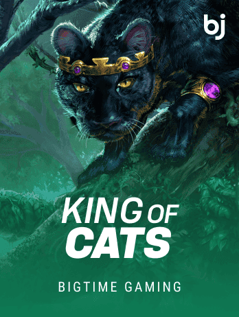King of Cats game thumbnail